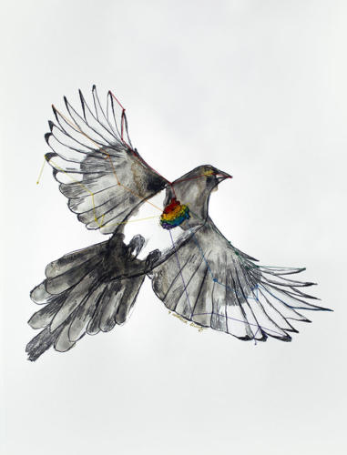 Serie Pájaros 8 / Pájaro LGBT